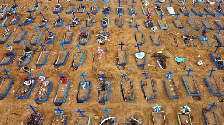 קורונה בעולם: 1,400 מתו בברזיל ביממה האחרונה, שיא מאומתים מאז ינואר במקסיקו