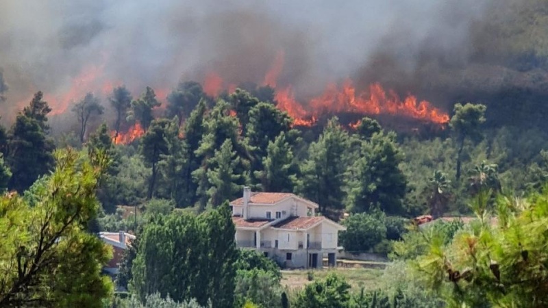 Vazhdojnë zjarret në pyjet e Evropës