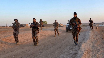 Nujaba: UAE reaped $13bn in profit from destabilizing Iraq