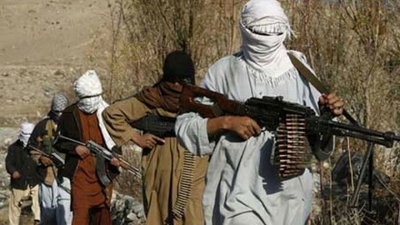 طالبان مدعی تصرف 143 ولسوالی در دو ماه گذشته 