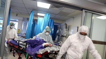 在过去24小时内，292名伊朗染疫身亡