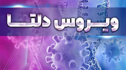 افزایش موج مرگبار 