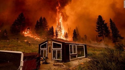 米１３州で大規模森林火災続く　８０カ所で４０万ヘクタール焼失