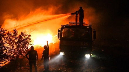 土耳其将受山火影响地区定级为灾区