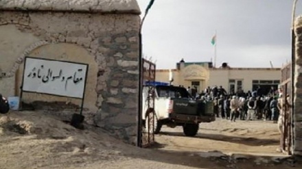 تکذیب سقوط ولسوالی ناهور در ولایت غزنی  