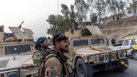 کشته شدن  8 نظامی در ولایت ننگرهار در حمله طالبان 