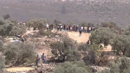 Terör rejimi İsrail'in Batı Şeria'ya düzenlediği hava saldırısında 12 Filistinli yaralandı