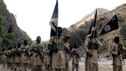 Yemeni minister ties US, Saudi, UAE to Daesh beheading of two soldiers 