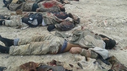 تلفات گروه طالبان در ولایت ننگرهار