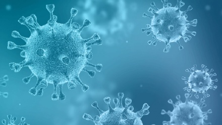 全球累计确诊新冠肺炎病例超1.97亿例