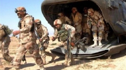 阿联酋向南也门岛屿派遣新的外国雇佣兵