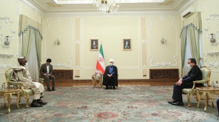 鲁哈尼强调伊朗和尼日利亚在国际社会展开的更多合作