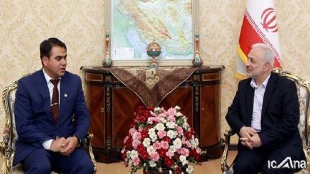 رئیس کمیسیون امنیت ملی و سیاست خارجی مجلس : ایران از منافع ملت افغانستان دفاع می‌کند