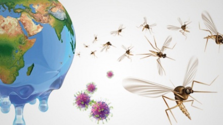 气候变化使世界将面临疟疾和登革热的风险