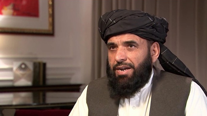 سهیل شاهین: طالبان خواستار کرسی افغانستان در سازمان ملل است