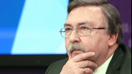 乌里扬诺夫：美国夸大了“极限施压”对伊朗的影响