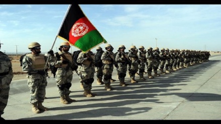 تلفات سنگین طالبان در ۱۵ ولایت افغانستان