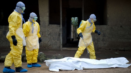 Regjistrohet vdekja e parë nga infektimi me virusin e rrezikshëm Marburg në Afrikën Perëndimore