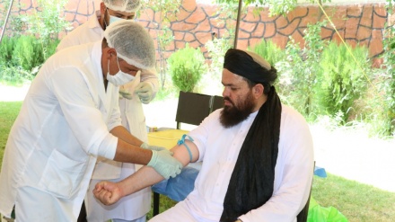 اهدای خون از سوی ده ها تن از علمای دینی ننگرهار به مجروحان نیروهای امنیتی 
