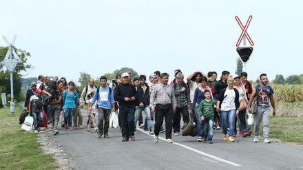 Migranti, la Polonia alzerà muro a confine con Kiev 