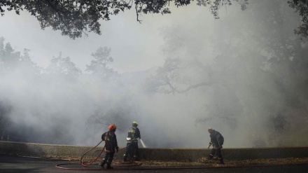 Thousands evacuated in southern France as 'fierce' wildfire spreads 