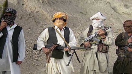 Taliban wasema wako tayari kushiriki kwenye serikali ya mpito ya Afghanistan
