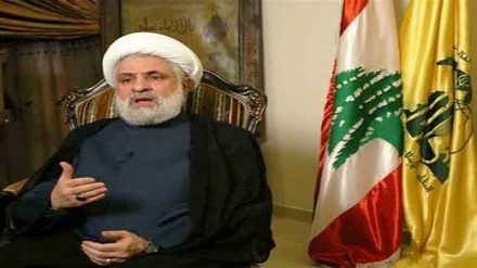 شیخ نعیم قاسم: دولت فرانسه مبارز لبنانی را آزاد کند