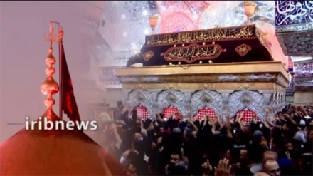 वीडियो रिपोर्टः दुनिया वालों देखो कर्बला की नूरानी शामे गरिबां और कूफ़े में खंडर बन चुके बनी उमय्या के महल को, पूरी इंसानियत पर है हुसैन का एहसान