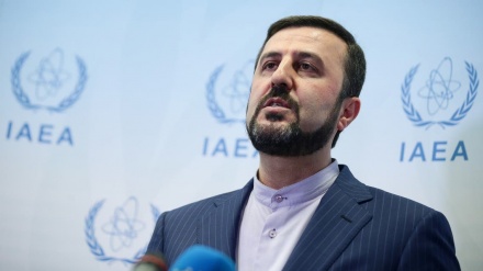 在ウィーン国際機関イラン代表が、核兵器全廃を強調