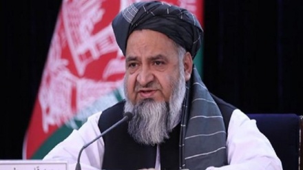 وزیر حج افغانستان: جنگ کنونی را پاکستان به راه انداخته است