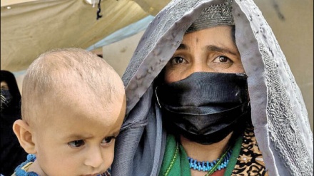 塔利班将很快公布阿富汗未来政府磋商的结果