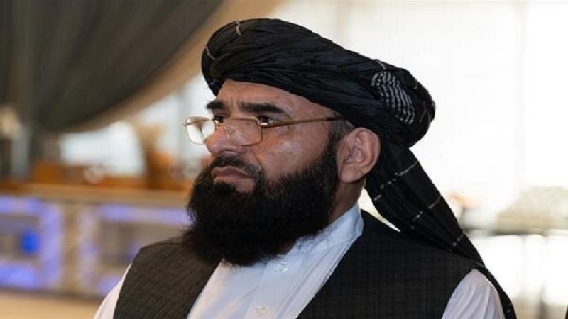 سهیل شاهین رئیس دفتر سیاسی طالبان در قطر شد