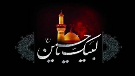 Tolışi xosə vəhışt-62