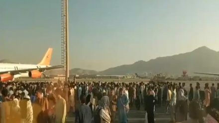 美国应对多名阿富汗人从军机坠落负责