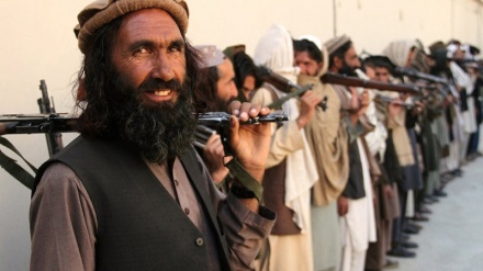 طالبان افسر پلیس تسلیم شده را کشتند