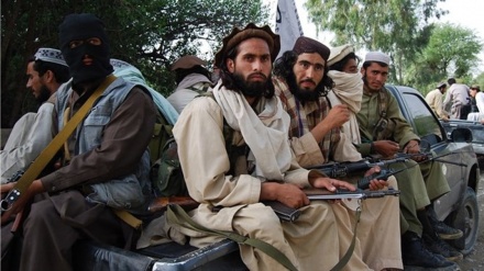 塔利班强调美军应从阿富汗完全撤出