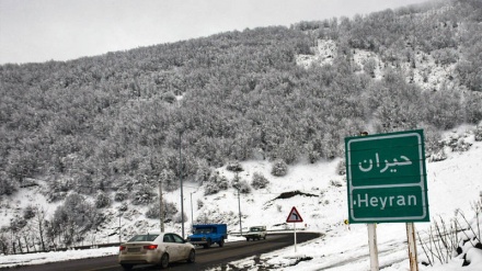 Ostoro Heyran qərdənədə va voə