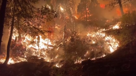 米加州南部で山火事が急拡大、２人死亡