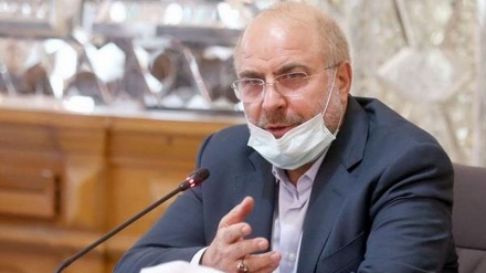 رئیس مجلس ایران: اقدام دور از ادب سفرای روسیه و  بریتانیا پیگیری شود