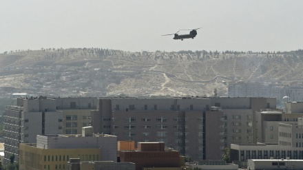  Taliban seeks peaceful transfer of power in 'next few days': Spokesman 