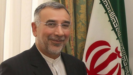 伊朗和德国就阿富汗问题进行磋商