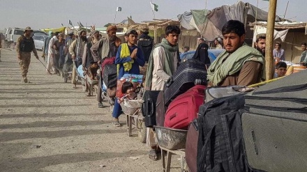 عفو بین الملل: دولت ها خارج از روند بروکراتیک به مهاجران افغان پناه دهند 