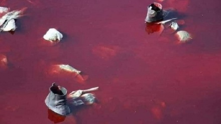 جزئیات حادثه انفجار در  فرودگاه کابل  هنوز مشخص نیست