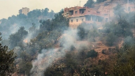 אלג'יריה: עלה ל-65 מספר הנספים בשריפות באזור הבירה