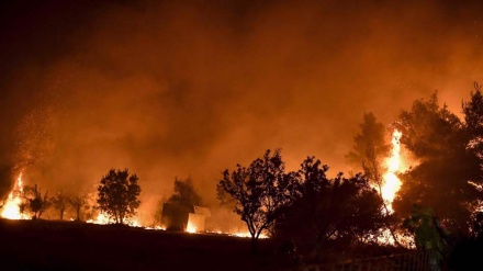 Greece issues 'extreme fire warning' for half of country as blazes rage