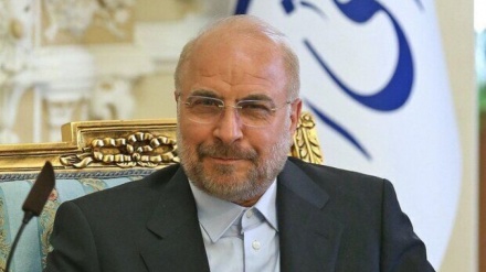 卡利巴夫：犹太复国主义政权是恐怖分子首领