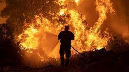 Attentato incendiario a tenuta presidenziale Castelporziano