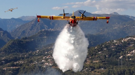 Zjarret në pyjet e Francës