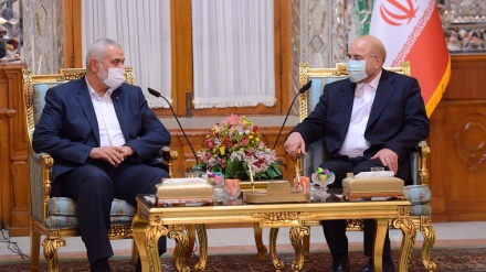 卡利巴夫：巴勒斯坦抵抗组织增加了穆斯林尊严