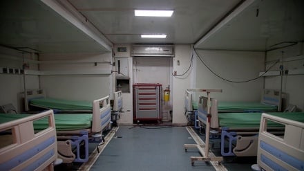 在过去24小时内，31名伊朗人染疫身亡